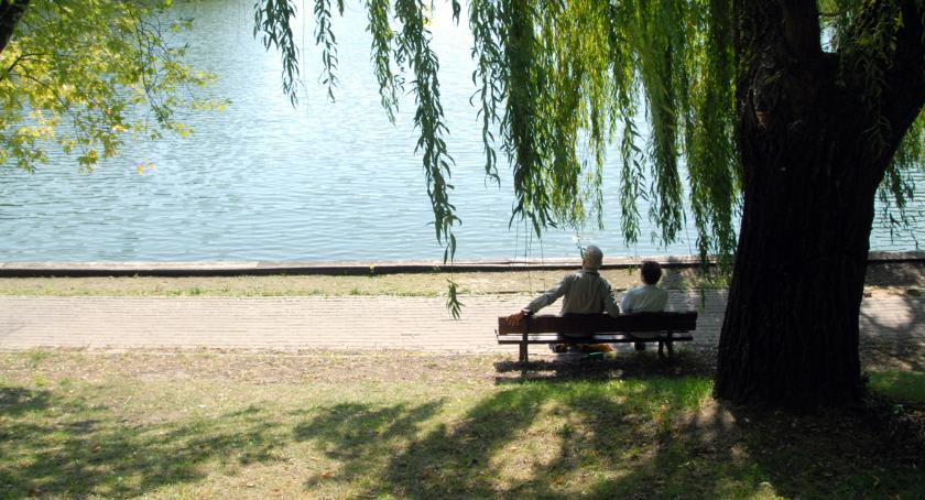 Jesienne prace w ochockich parkach
