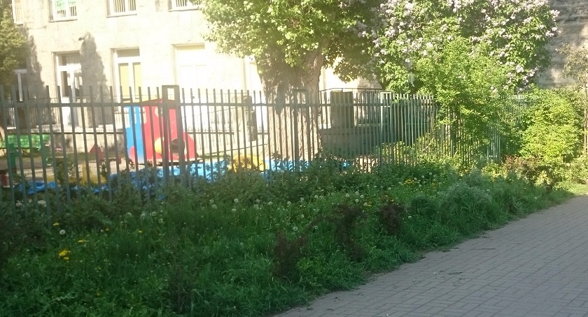 Na co idą nasze pieniądze?