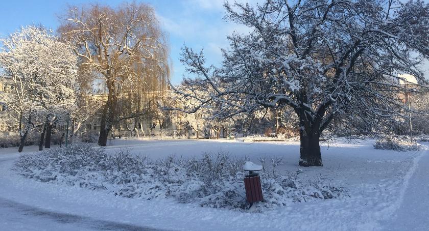 Na Fortach Korotyńskiego znaleziono martwą kobietę
