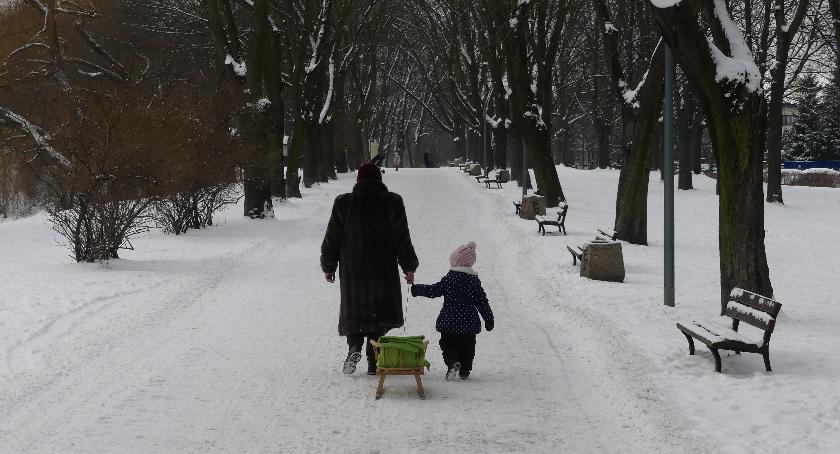 Park Szczęśliwicki – dobre miejsce na zimowy spacer