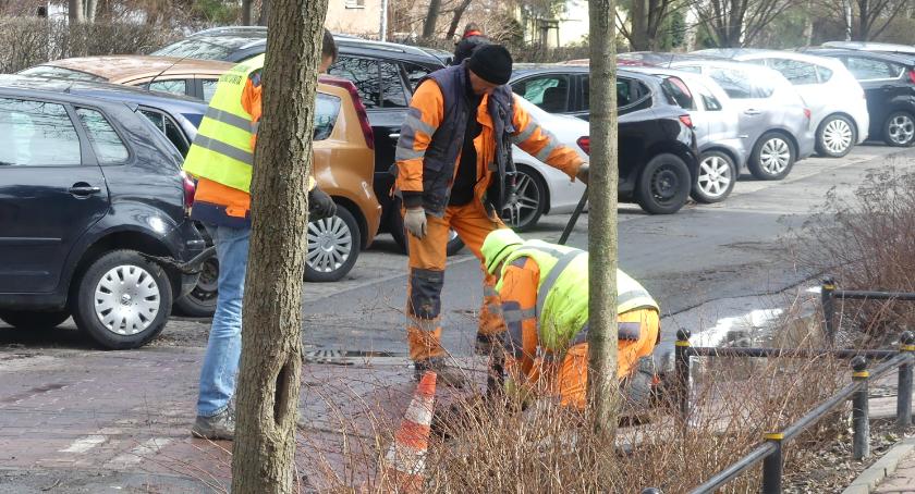 Wiosna dotarła na Radomską