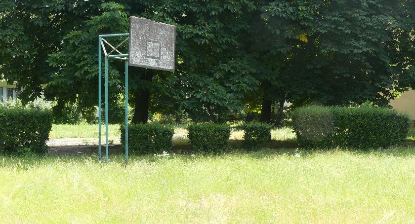 Koszykarstwo chaszczowe