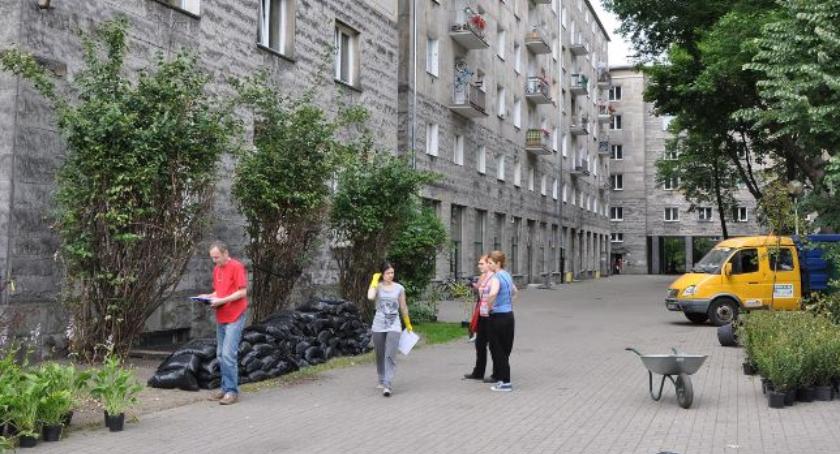Ochota gra w zielone