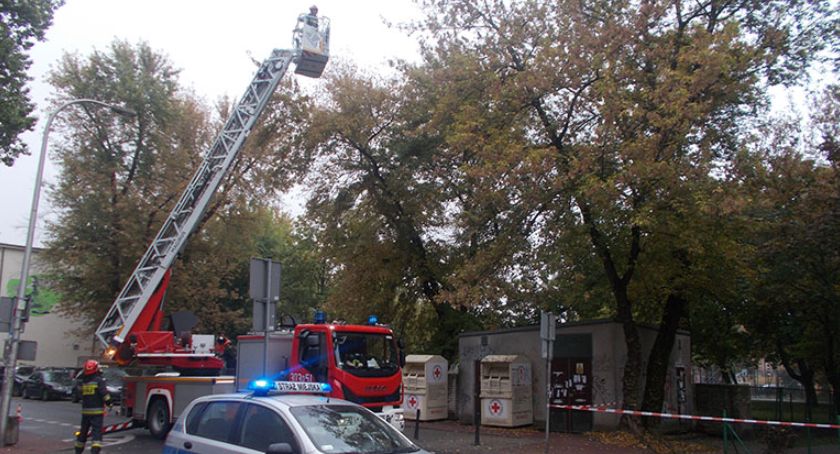 Drzewo zagrażało dzieciom i przechodniom