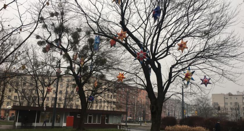 Choinka bez choinki
