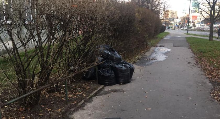 MPO – czekamy na wywóz liści