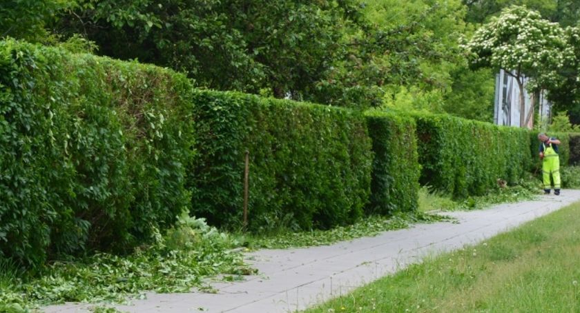 Budżet Obywatelski - zazieleniamy ochockie parkany