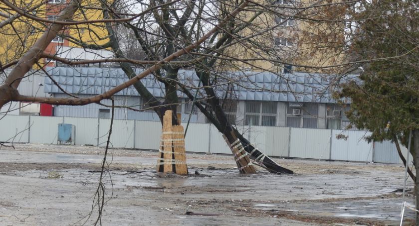 Wirusowe zapalenie przewrotu drzew