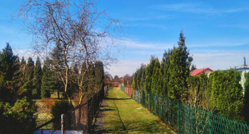 Mandaty dla działkowiczów?