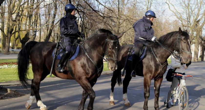 Liczba mandatów rośnie i nic nie zapowiada zmiany