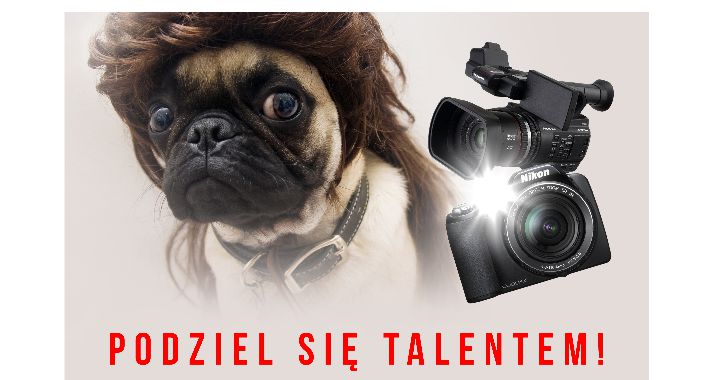 Fotograf zwierząt poszukiwany!