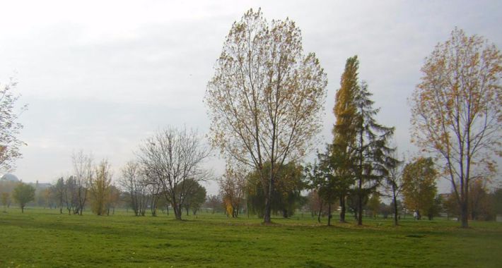 Park Zachodni – czas na decyzje