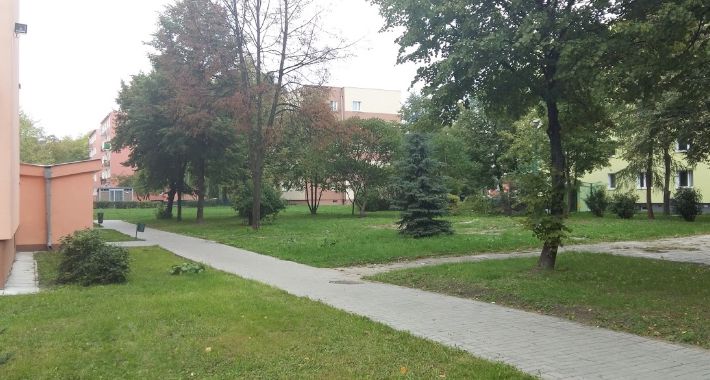 Biurowiec na trawniku