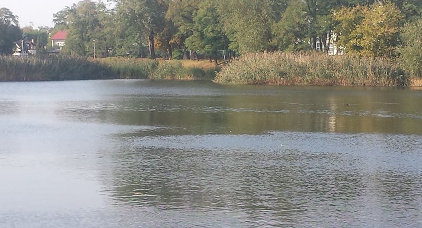 Dzień Dziecka na Stawach Cietrzewia 