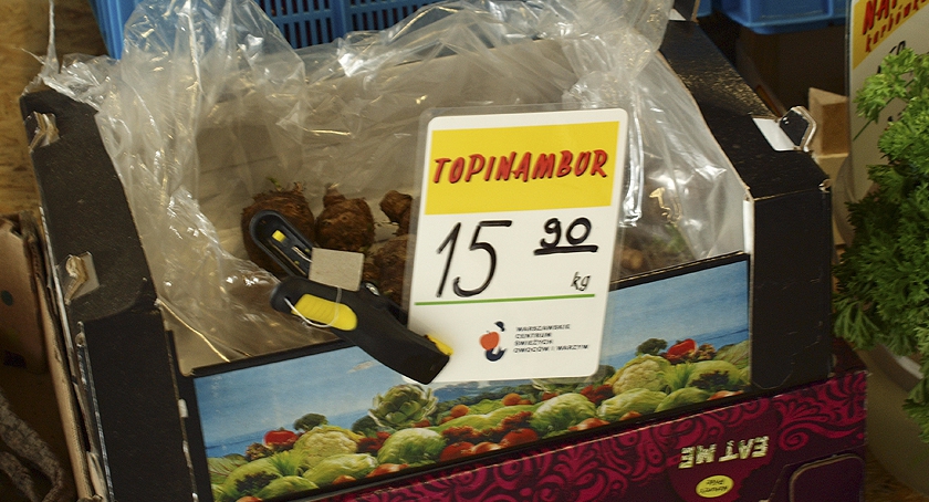 Topinambur czyli świniak