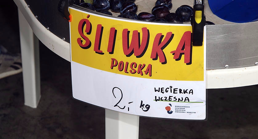 Polska Śliwka? 