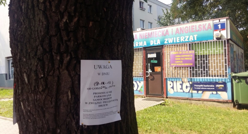 Firma „gałąź” łamie prawo