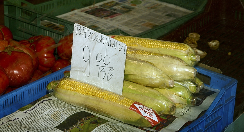 Brzoskwinia