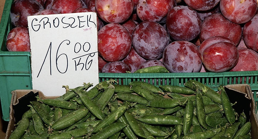 Pojawił się zielony groszek w strąkach