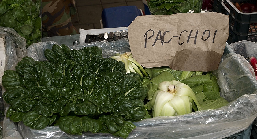 Pac Choi – kapusta rodem z Chin