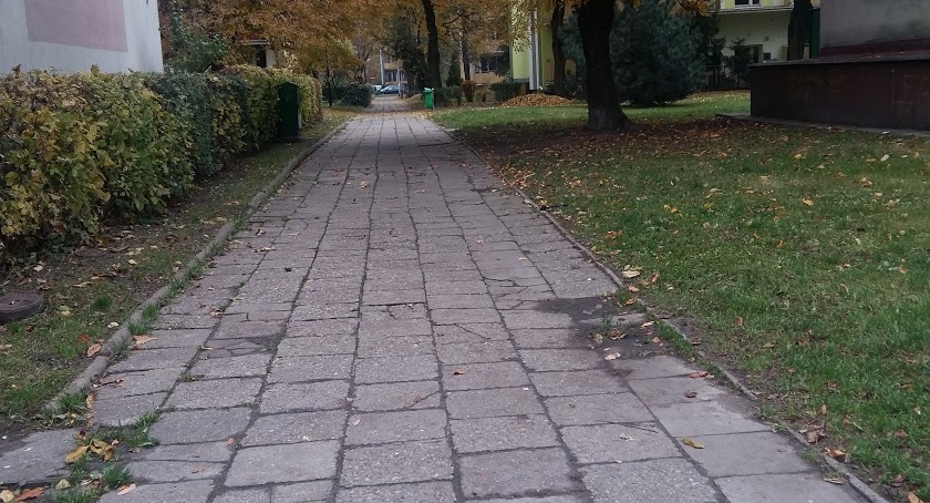 Setka z przeszkodami