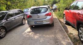 Parking Reduta Ordona?