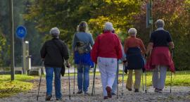 Zapraszamy na zajęcia nordic walking