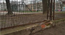 Szkoła na Spiskiej - gdzie podziały się pieniądze na płot