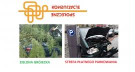 Kilka słów na temat organizacji konsultacji Zielona Grójecka