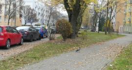 SPPN - czy muszą być dwa równoległe chodniki na Białobrzeskiej?