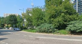 Tajemnicza fontanna przy Szczęśliwickiej