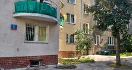 Częstochowska 3a - jak pokonać szczury