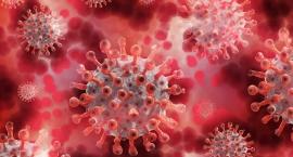 Czy  epidemia wpłynie na zaplanowane wydarzenia?