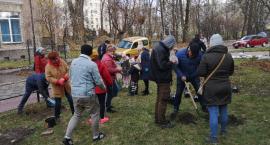 Bitwy Warszawskiej 14 - mieszkańcy zasadzili nową roślinność!