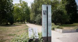 Pole Mokotowskie - remont ścieżki Ryszarda Kapuścińskiego