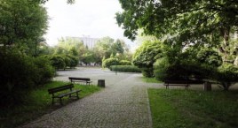 Ustalenia w sprawie przebudowy Parku M. Skłodowskiej Curie