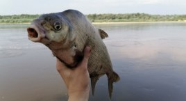 Będzie jedna opłata za wędkowanie w całej Polsce!