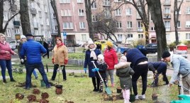 Mieszkańcy będą sadzić rośliny!