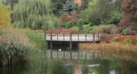 Park Malickiego w jesiennej szacie. 
