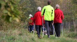 Bezpłatne zajęcia z Nordic Walking