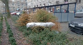 Czy MPO czeka na następne święta Bożego Narodzenia?