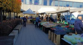 Do trzech razy sztuka - Zieleniak będzie zadaszony