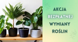 Akcja wymiany roślin w Parku Pięciu Sióstr