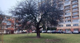 Nowe pomysły na Skwer Rodziny Wolskich 