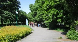 Park Korotyńskiego - w kobietach siła