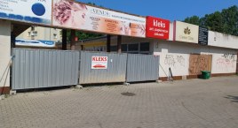 Małpka na gumce