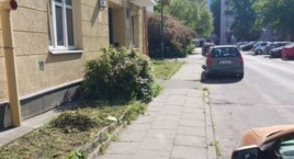 Na Ochocie grasuje szalony kosiarz