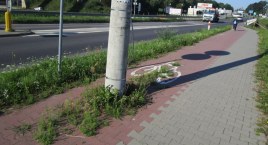 Rowerzyści! Jednak się cieszcie!
