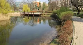 Jaki staw w Parku Malickiego? - Spotkanie 18 listopada
