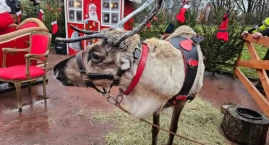Jarmark Świąteczny w Parku Szczęśliwickim 
